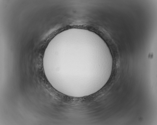 X0000114001350200910231742