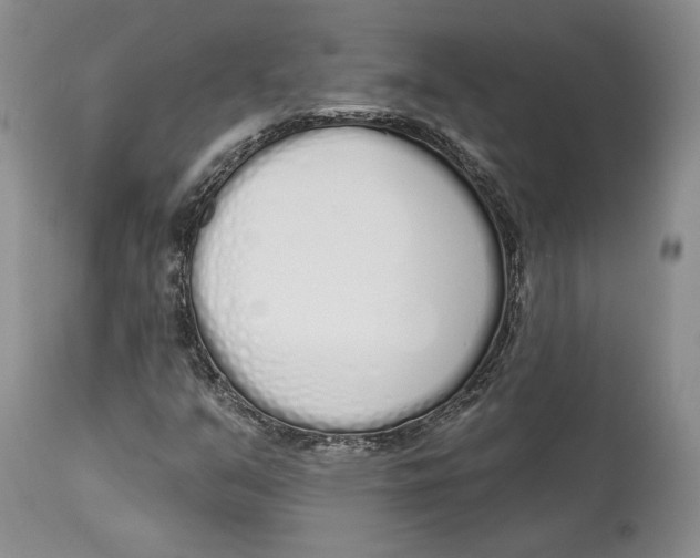 X0000114001351200910231742