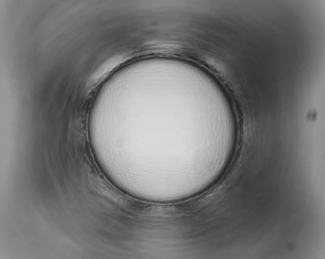 X0000114001354200910231742