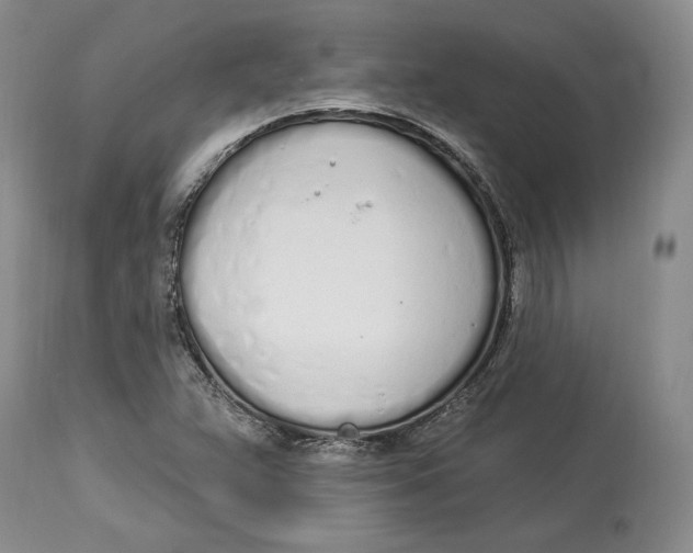 X0000114001359200910231742