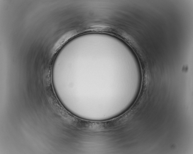 X0000114001362200910231742