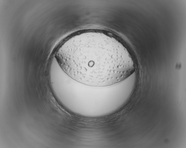X0000114001364200910231742