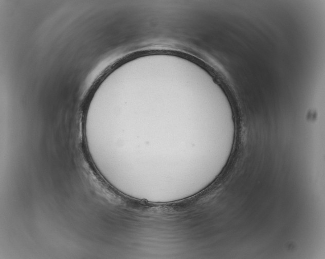 X0000114001368200910231742
