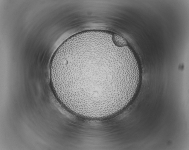 X0000114001370200910231742
