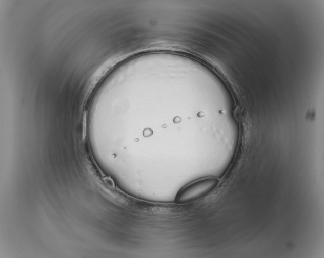 X0000114001371200910231742