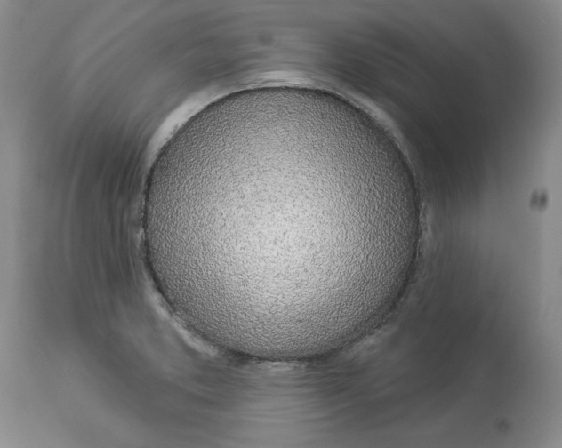 X0000114001373200910231742