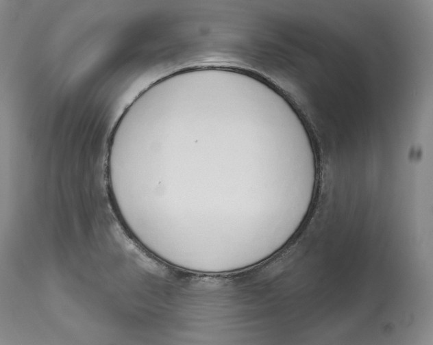 X0000114001374200910231742