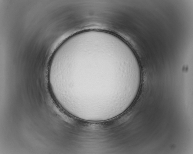 X0000114001375200910231742