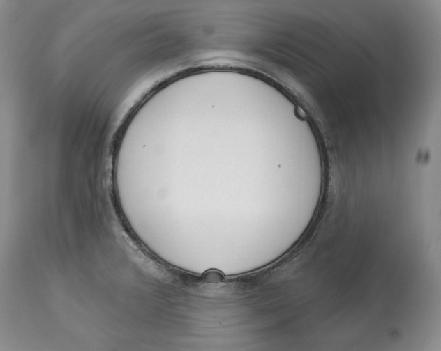 X0000114001376200910231742