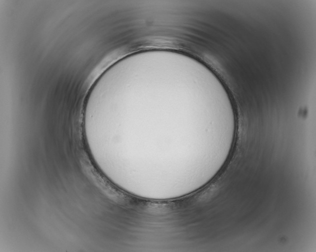 X0000114001378200910231742