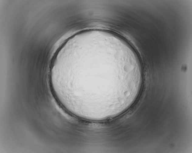 X0000114001379200910231742