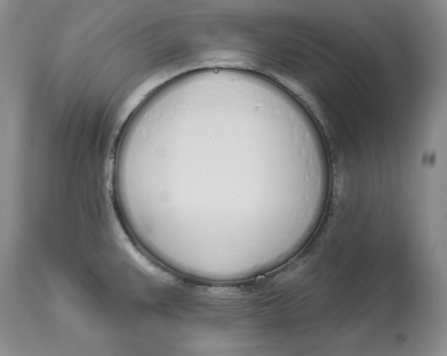 X0000114001383200910231742