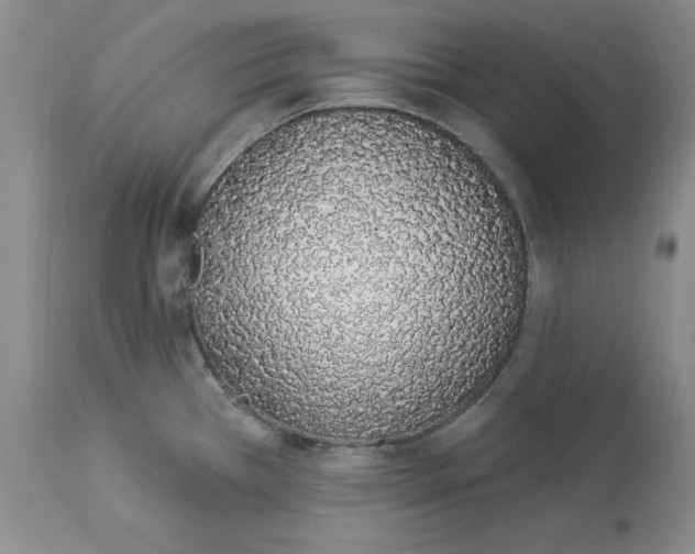 X0000114001385200910231742