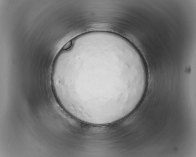 X0000114001386200910231742
