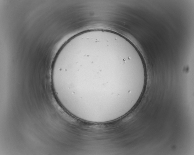X0000114001388200910231742