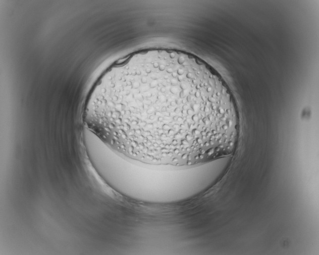 X0000114001392200910231742