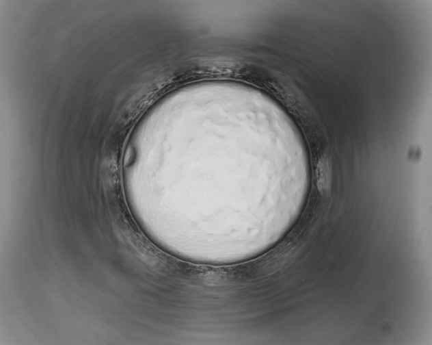 X0000114001395200910231741