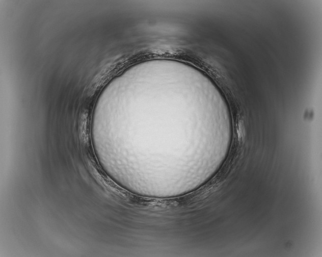 X0000114001396200910231741