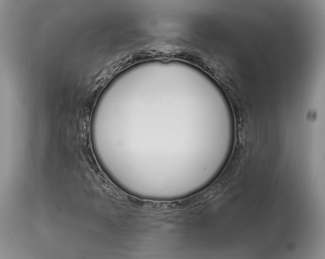 X0000114001397200910231741