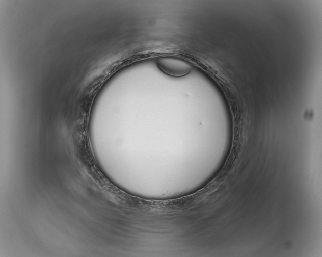 X0000114001399200910231741
