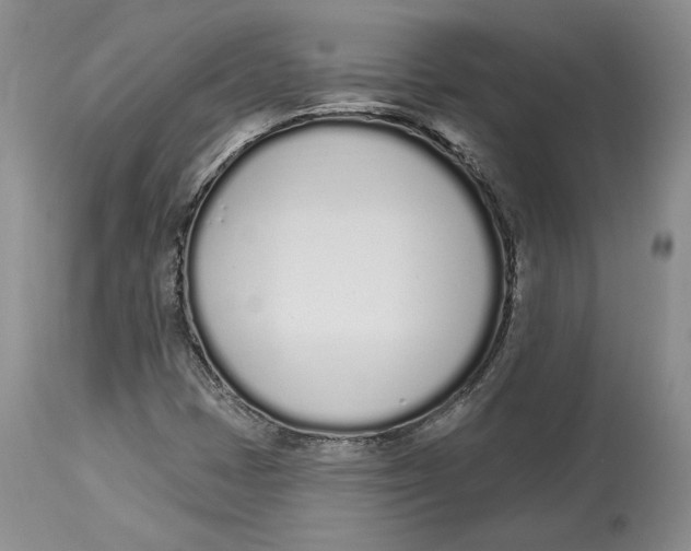 X0000114001401200910231741