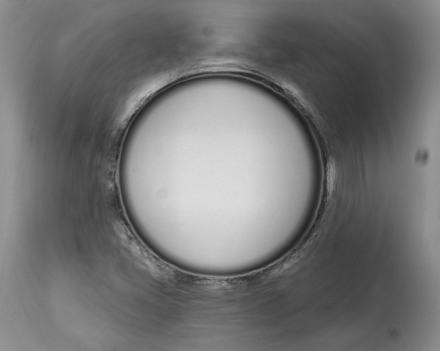 X0000114001405200910231741