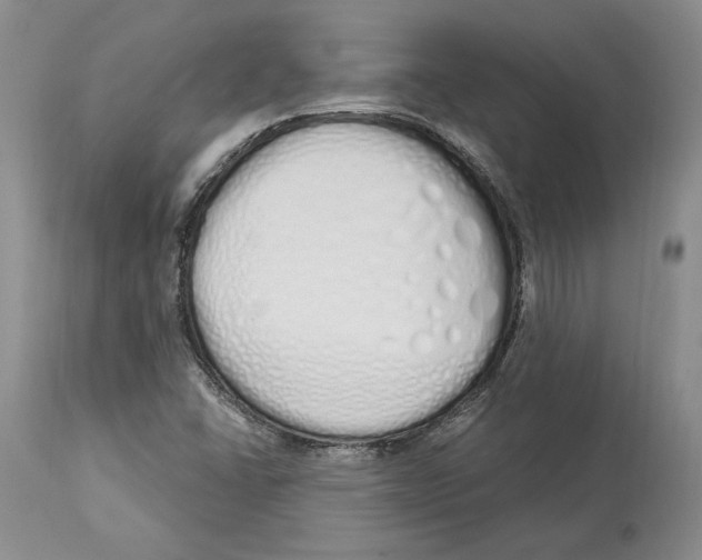 X0000114001406200910231741