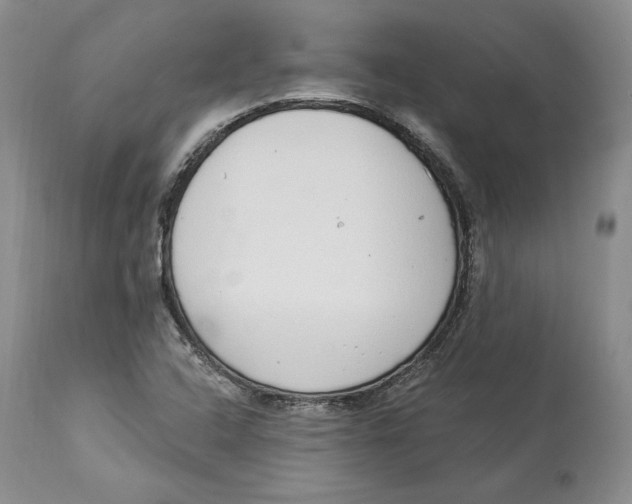 X0000114001408200910231741