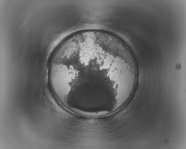 X0000114001414200910231742