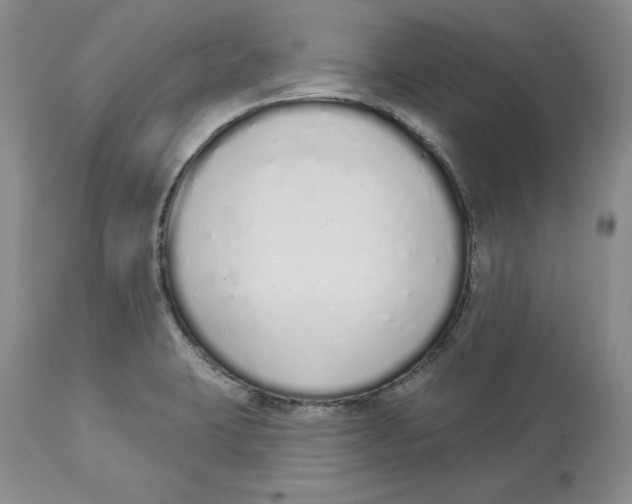X0000114001423200910231742