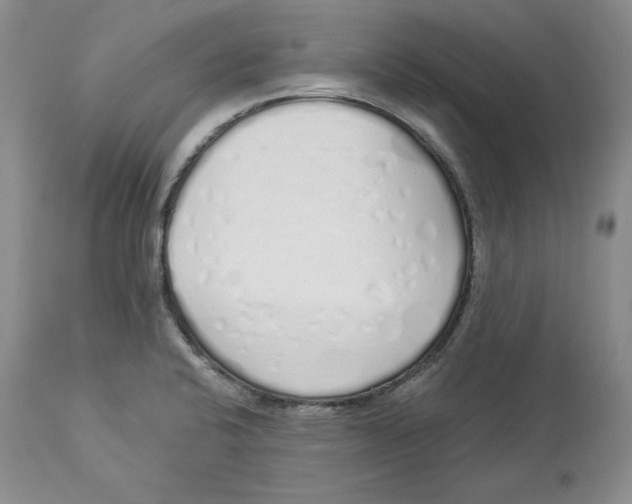 X0000114001424200910231742