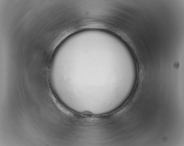 X0000114001425200910231742