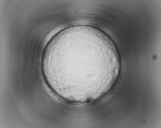 X0000114001426200910231742