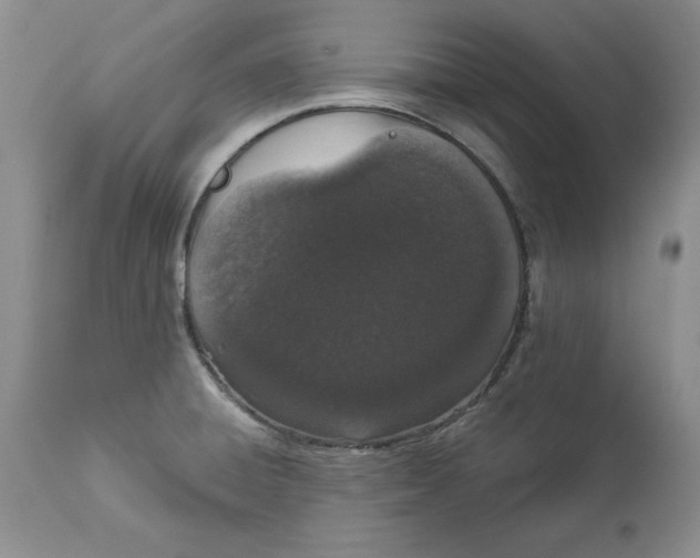 X0000114001428200910231742