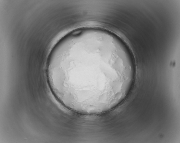 X0000114001429200910231742