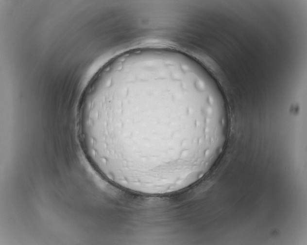 X0000114001430200910231742