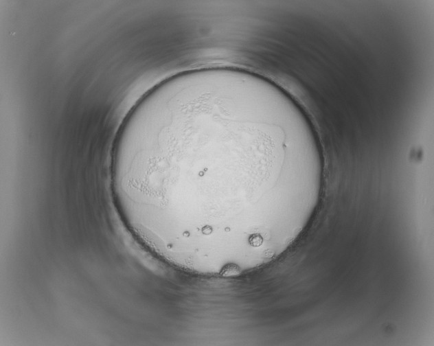 X0000114001431200910231742