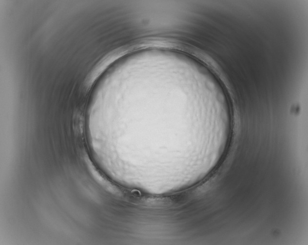X0000114001433200910231742