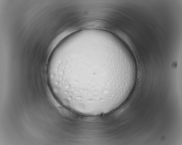 X0000114001434200910231742