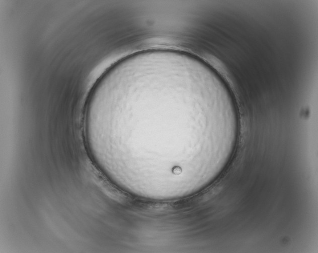X0000114001435200910231742