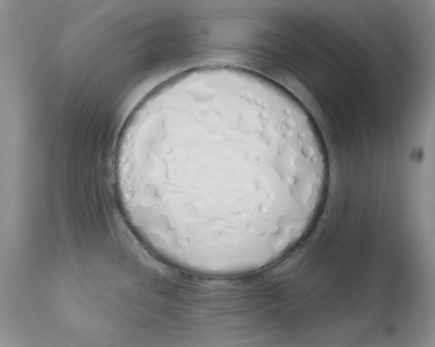 X0000114001436200910231742