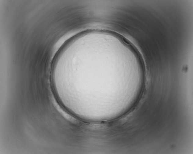 X0000114001437200910231742