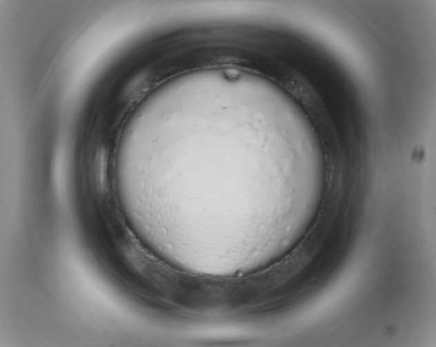 X0000114001439200910231742