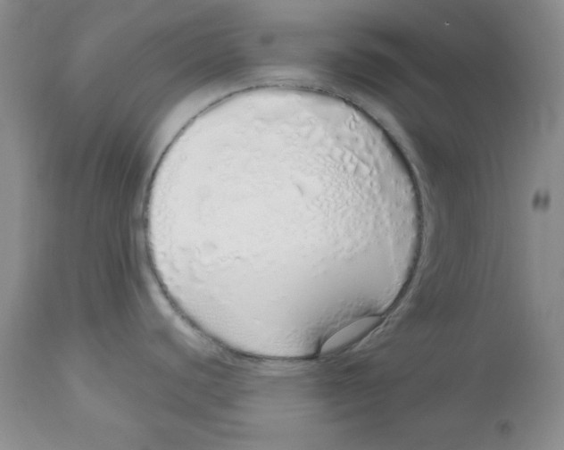 X0000114001440200910231742