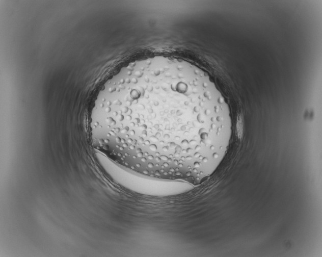 X0000114001444200910231741