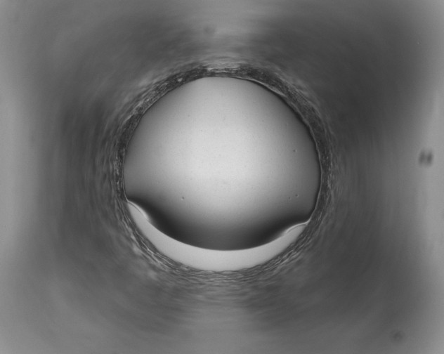 X0000114001445200910231741