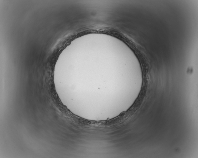 X0000114001447200910231741