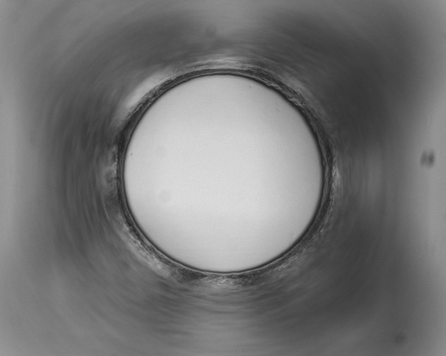 X0000114001450200910231741