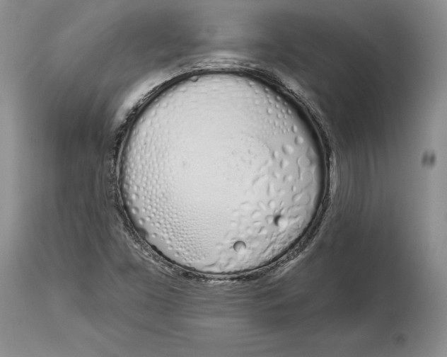 X0000114001453200910231741