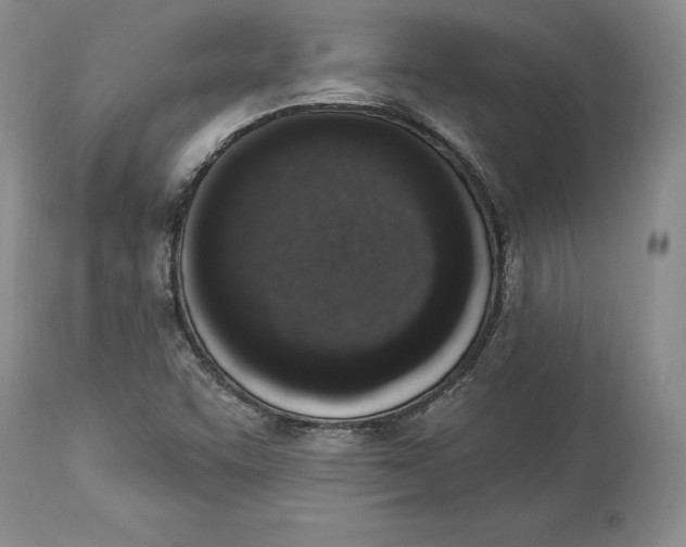 X0000114001455200910231741